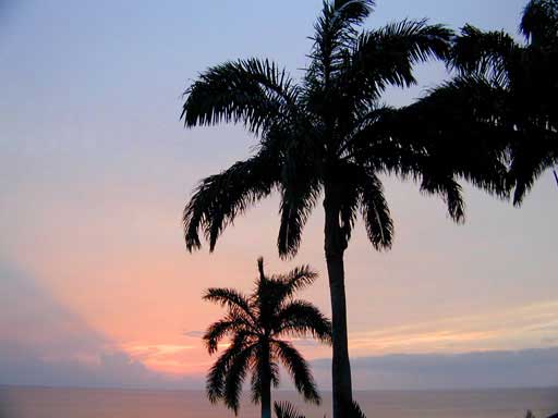 Jamaica