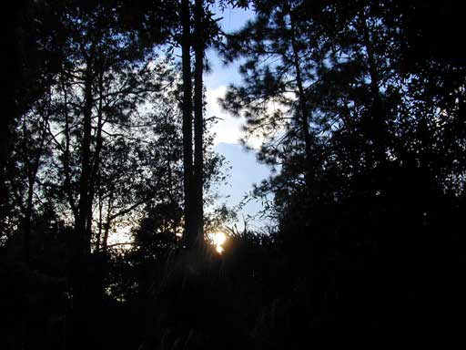 Ryans Sunset