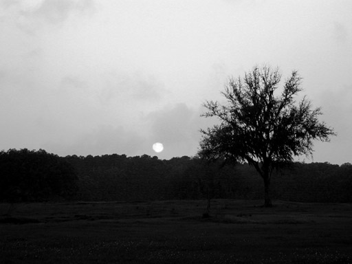 Black and white sunset
