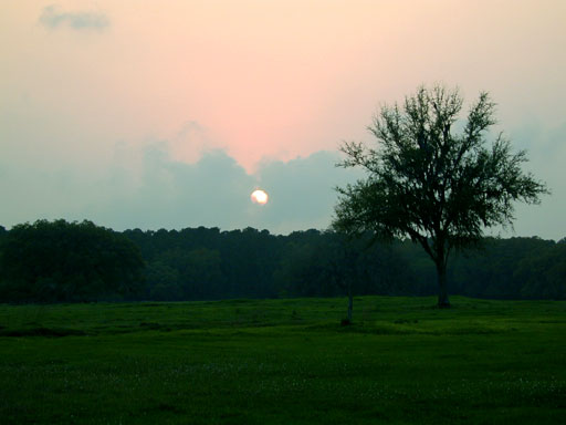 Sunset over Dixie Ranch