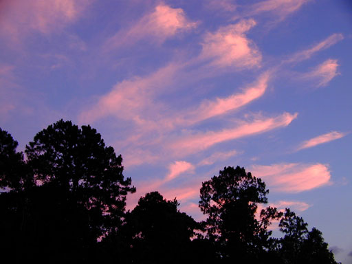 Sunset over some cove in the woods